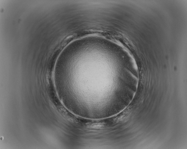 X0000066080643200603171031