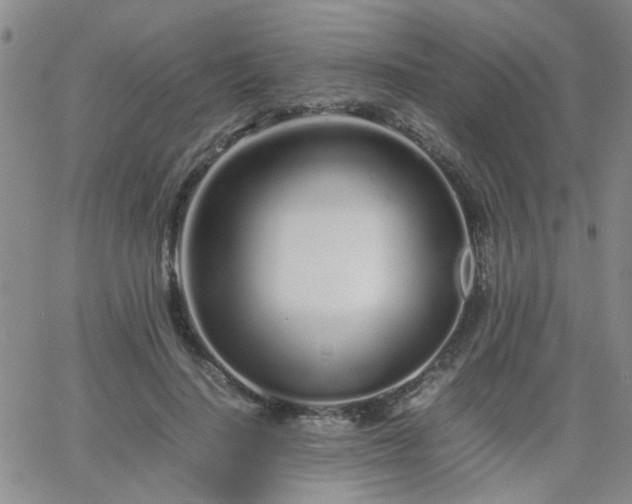 X0000066080644200603171031