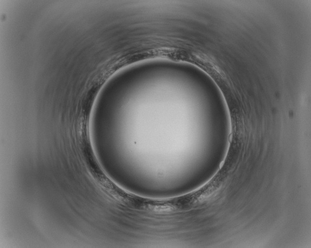 X0000066080645200603171031