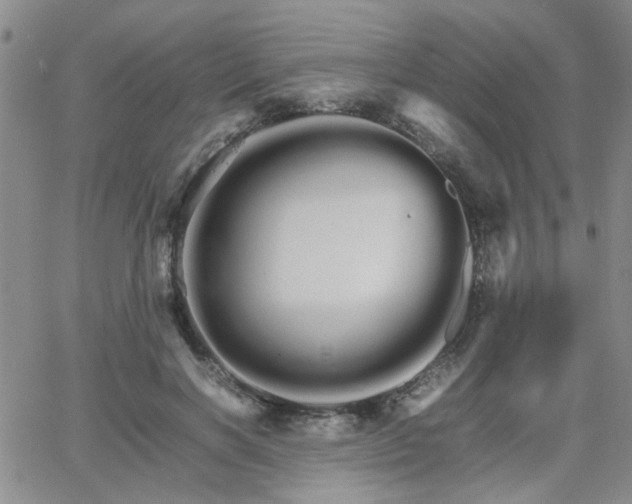 X0000066080646200603171031