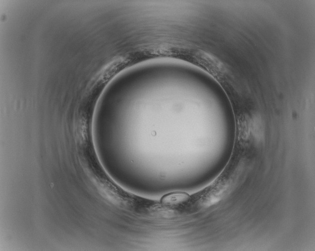 X0000066080648200603171031