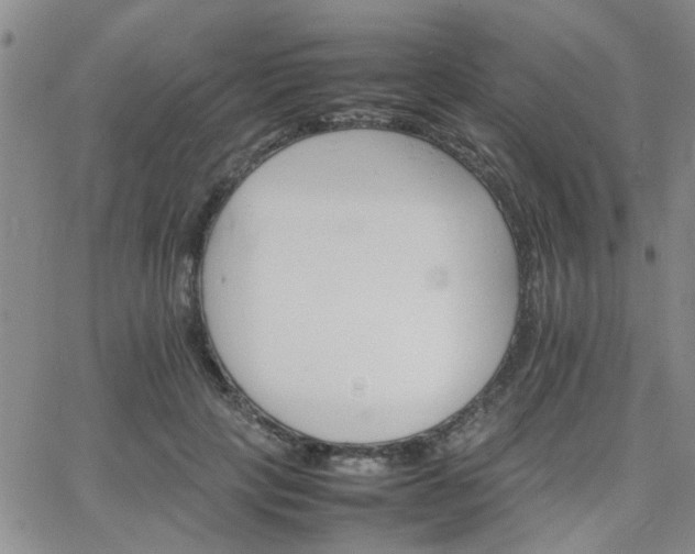 X0000066080649200603171031