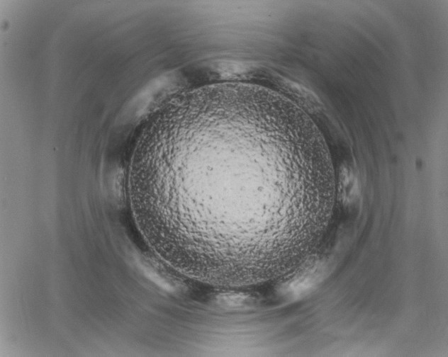 X0000066080650200603171031