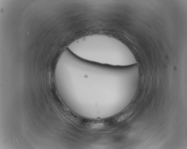 X0000066080651200603171031