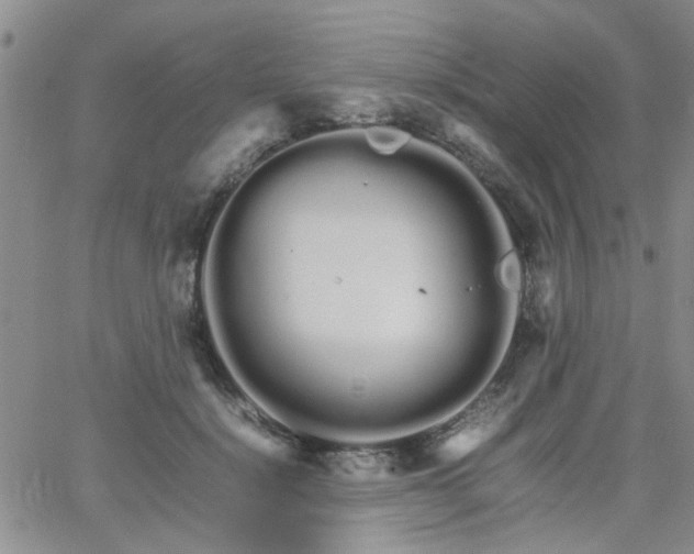 X0000066080652200603171031