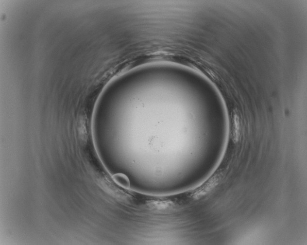 X0000066080654200603171031