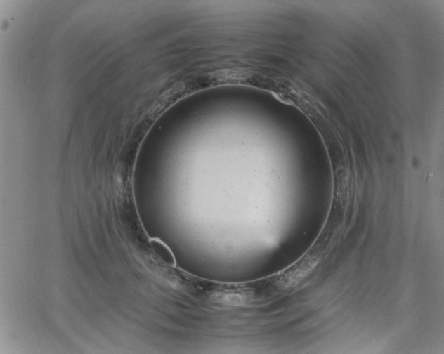 X0000066080655200603171031