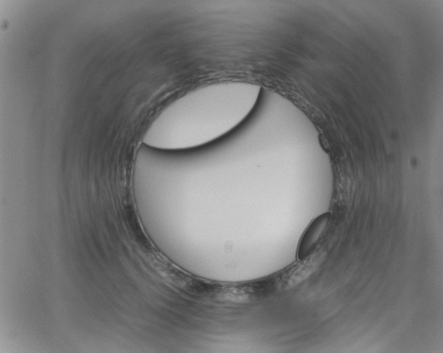 X0000066080656200603171032