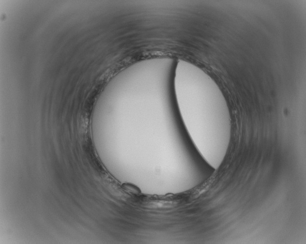 X0000066080657200603171032