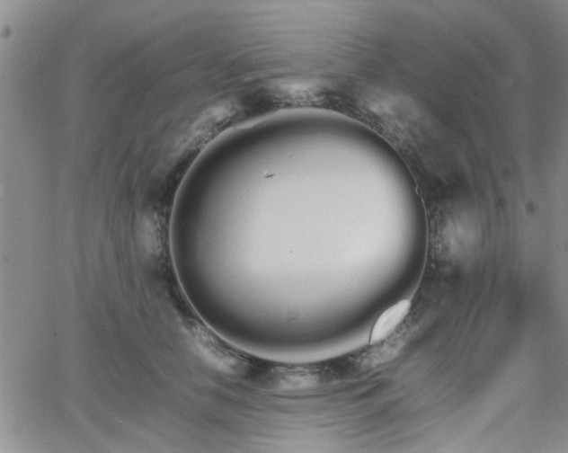 X0000066080658200603171032