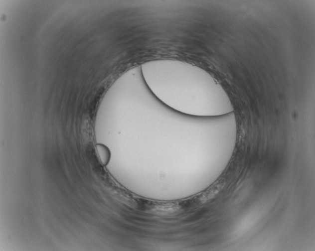 X0000066080659200603171032