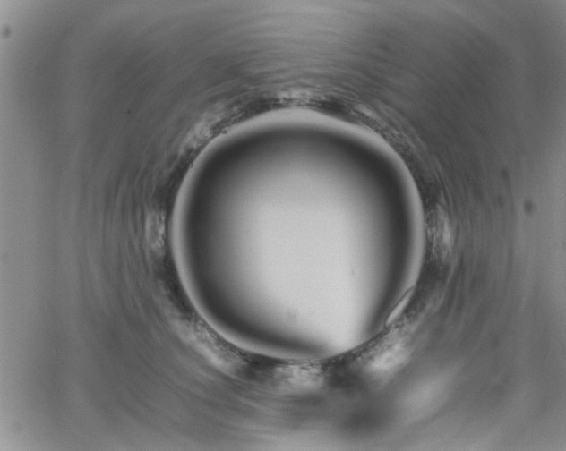 X0000066080660200603171032