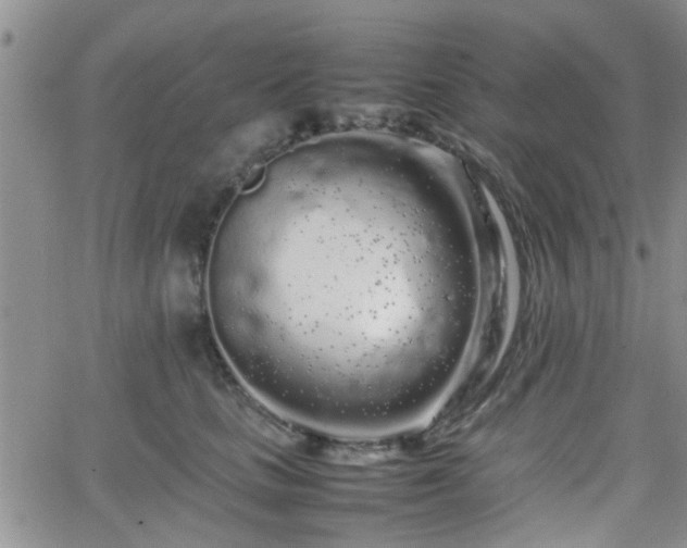 X0000066080661200603171032