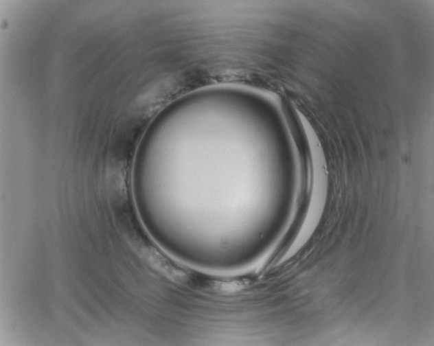 X0000066080662200603171032