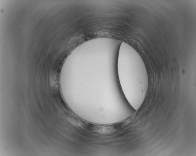 X0000066080663200603171032