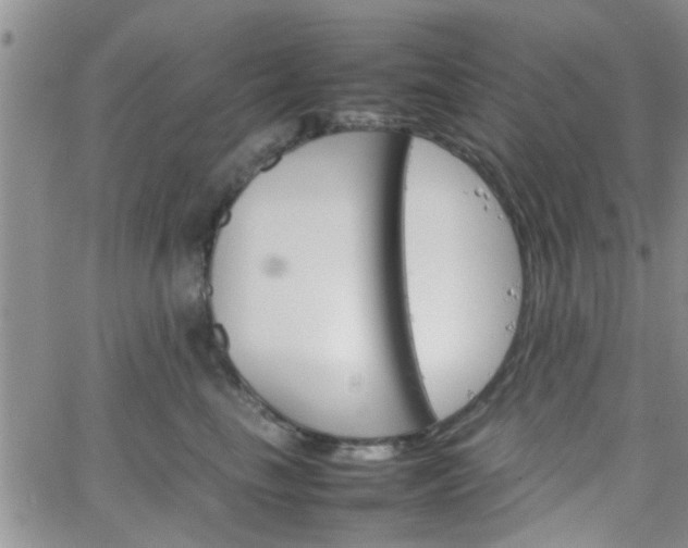 X0000066080665200603171032