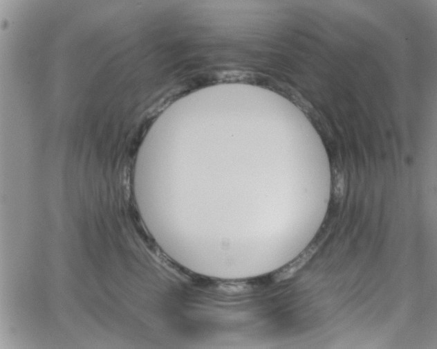 X0000066080666200603171032