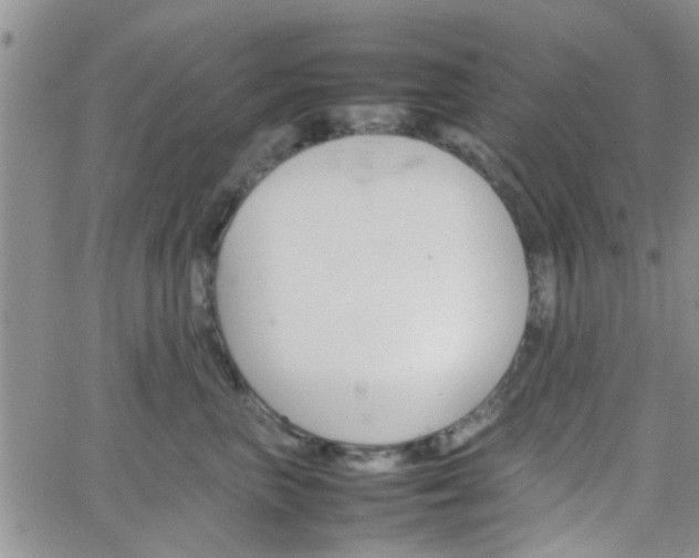 X0000066080667200603171032