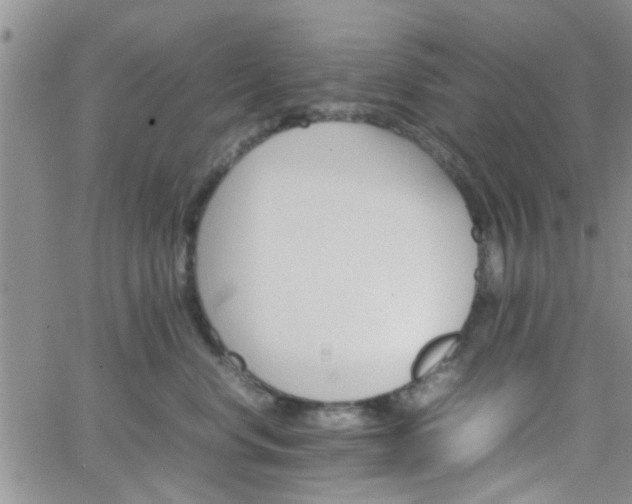 X0000066080668200603171032