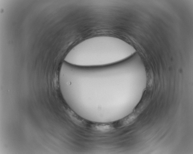 X0000066080669200603171032