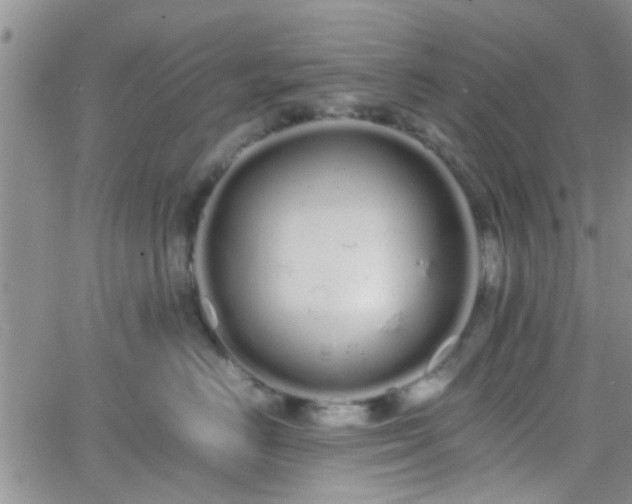 X0000066080670200603171032