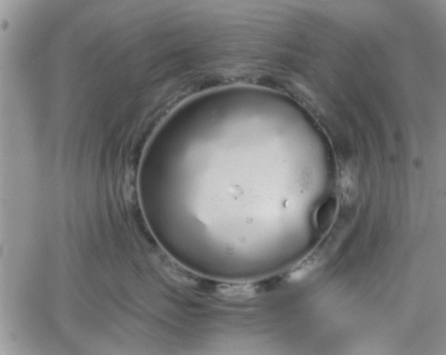 X0000066080671200603171032