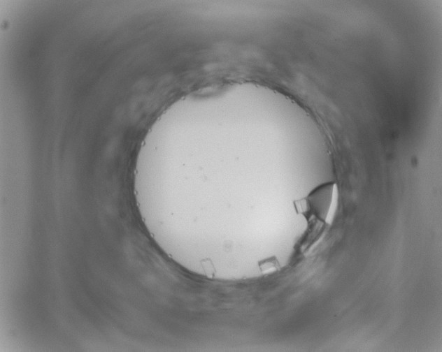 X0000066080672200603171032