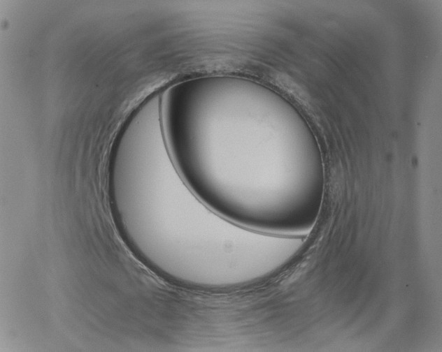 X0000066080673200603171031