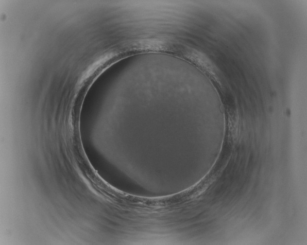 X0000066080674200603171031