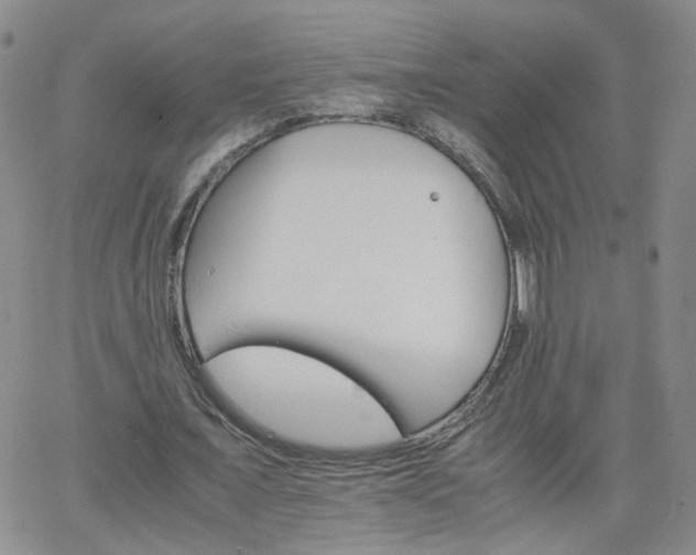 X0000066080675200603171031