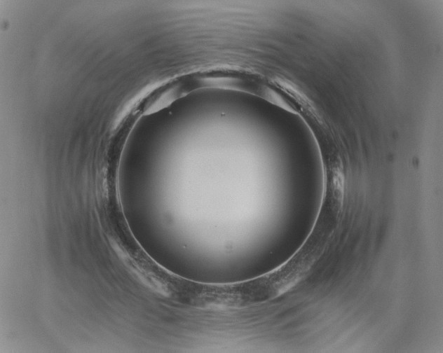 X0000066080676200603171031