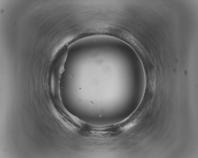 X0000066080677200603171031