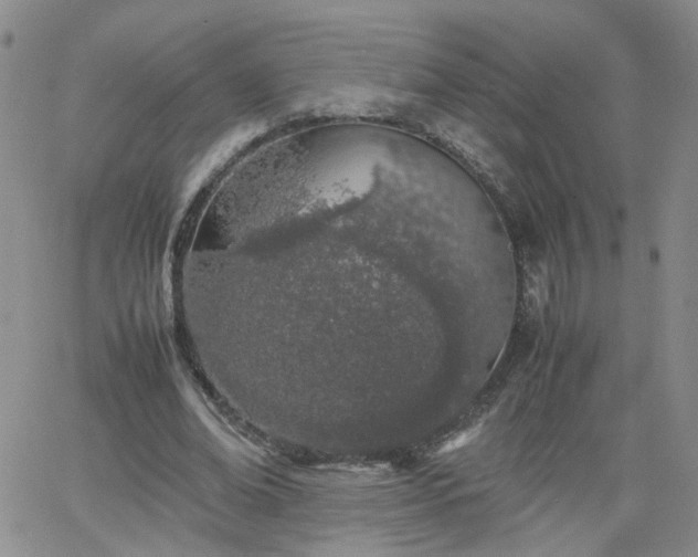 X0000066080678200603171031