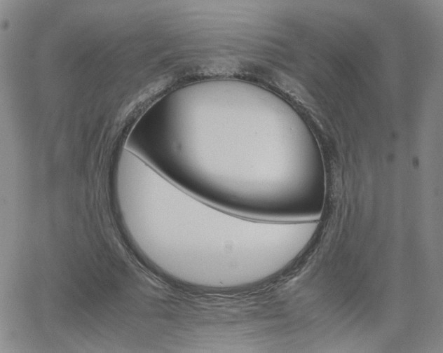 X0000066080681200603171031