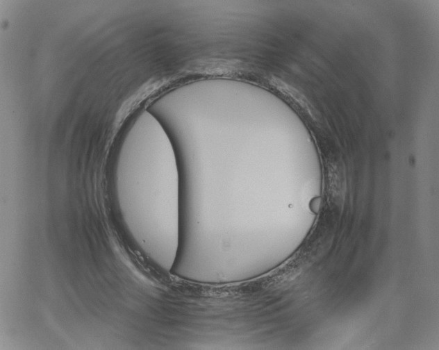 X0000066080682200603171031