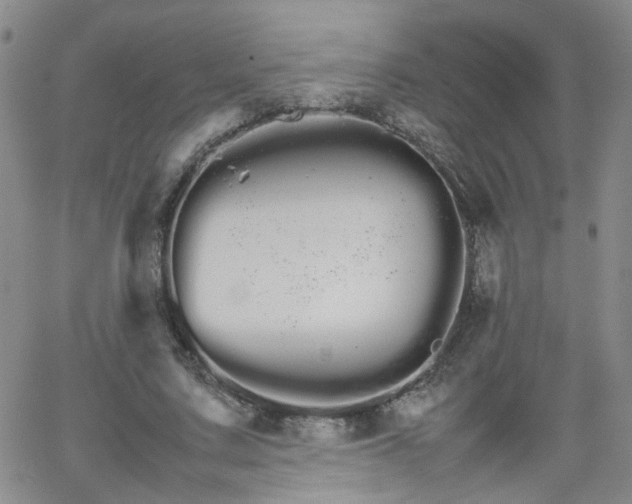 X0000066080683200603171031