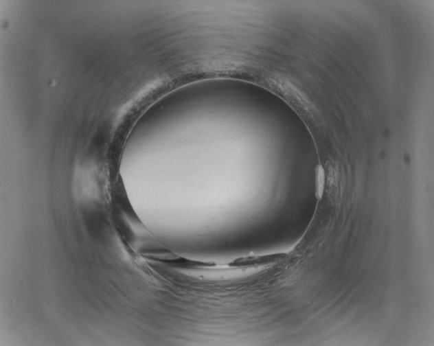 X0000066080684200603171031