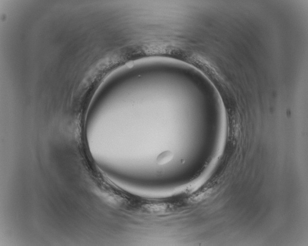 X0000066080687200603171031