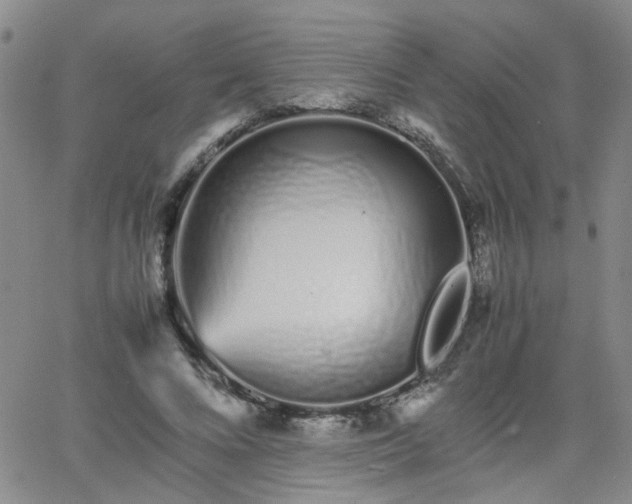 X0000066080688200603171031