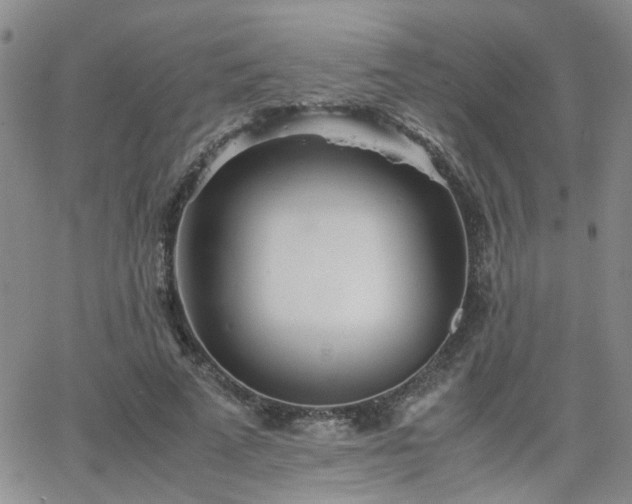 X0000066080689200603171031