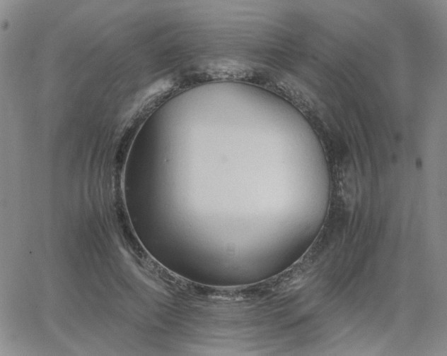 X0000066080690200603171031