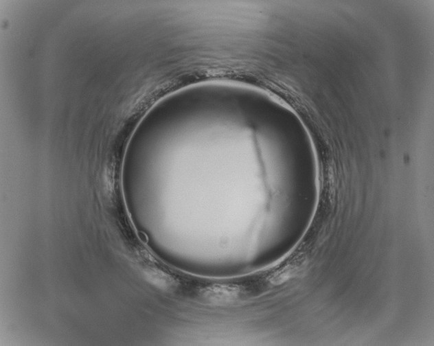 X0000066080691200603171031