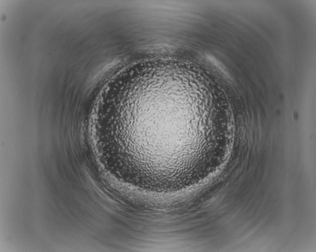 X0000066080692200603171031