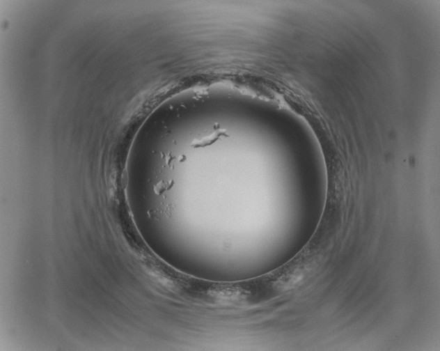 X0000066080693200603171031