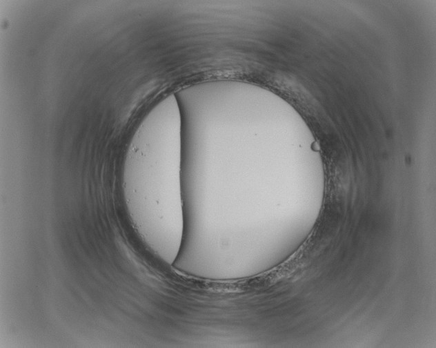 X0000066080694200603171031