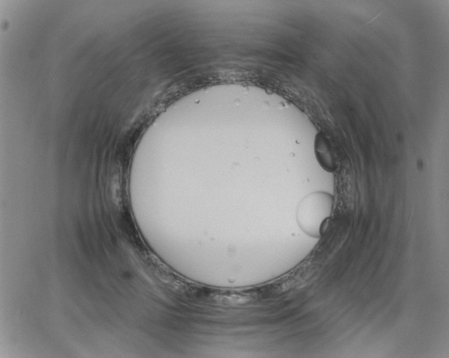 X0000066080698200603171031