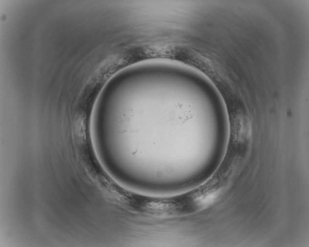 X0000066080699200603171031