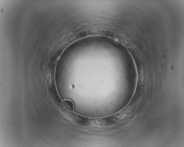 X0000066080703200603171030