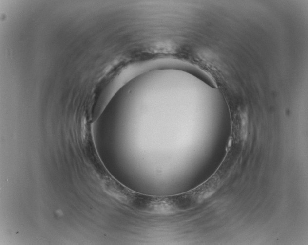 X0000066080704200603171030