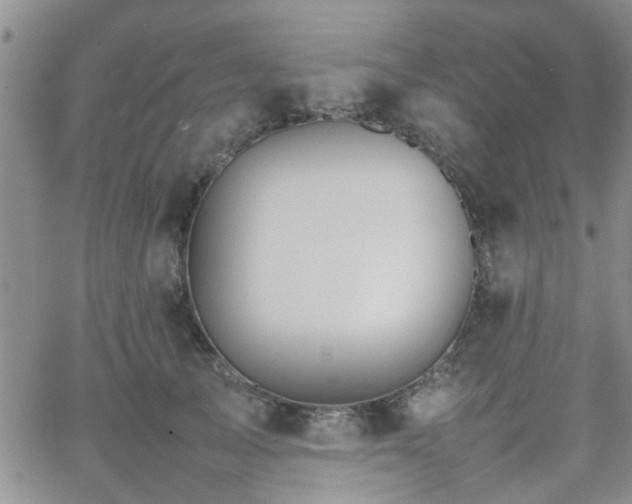 X0000066080705200603171030